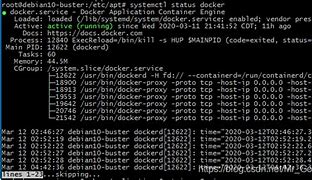 Debian Docker 安装